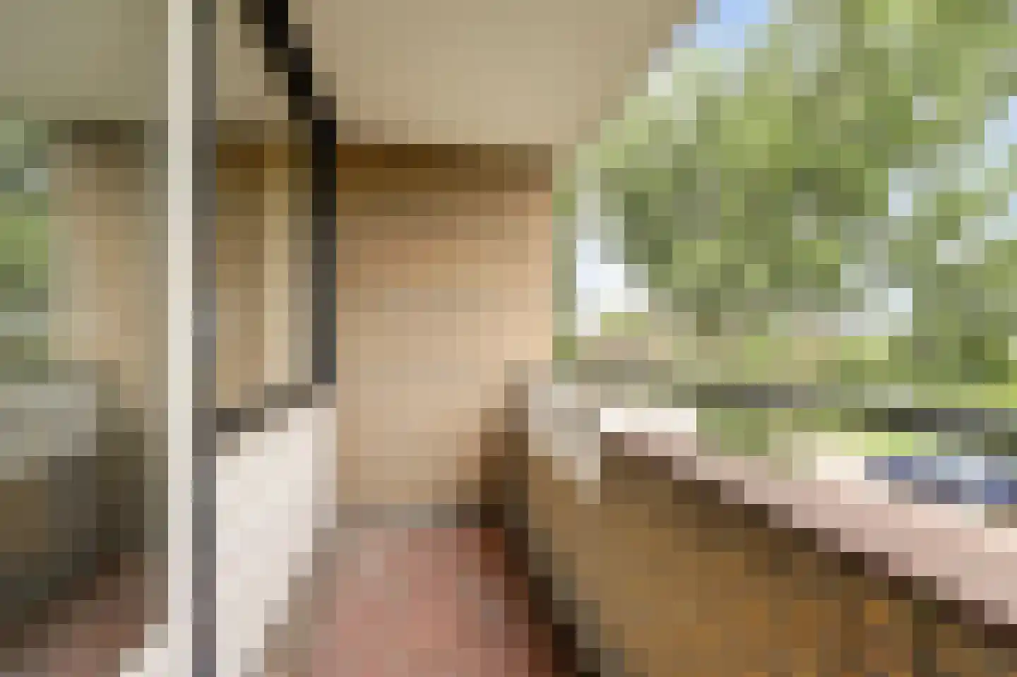 Vuurdoornlaan 27 Gouda thumbnail 24