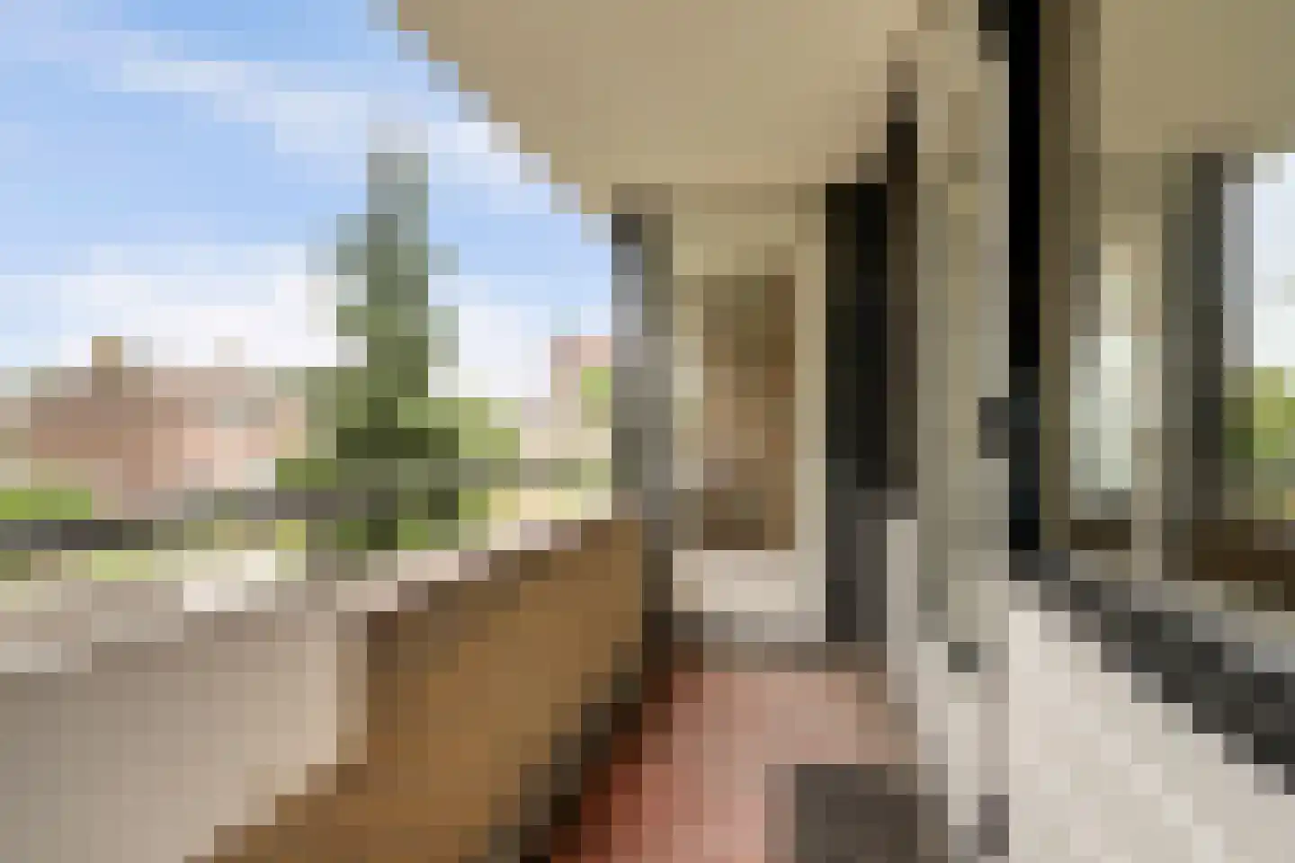 Vuurdoornlaan 27 Gouda thumbnail 25