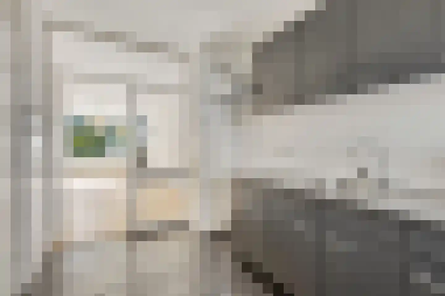 Vuurdoornlaan 32 01 Nijkerk thumbnail 5