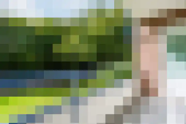 Vuurdoornlaan 32 Nijkerk thumbnail 27
