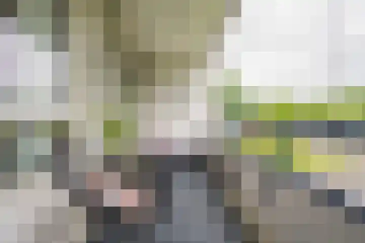 Vuurdoornlaan 36 02 Nijkerk thumbnail 10