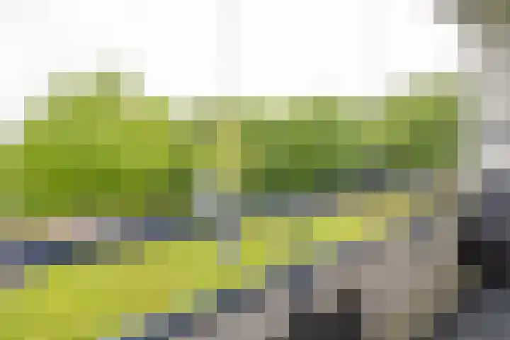 Vuurdoornlaan 36 02 Nijkerk thumbnail 11