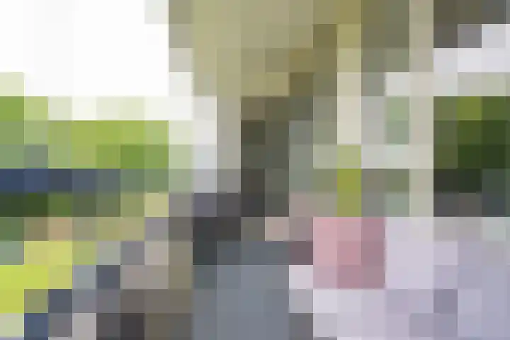 Vuurdoornlaan 36 02 Nijkerk thumbnail 12
