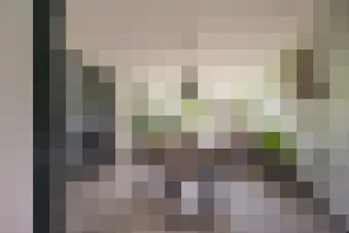 Vuurdoornlaan 36 02 Nijkerk thumbnail 18
