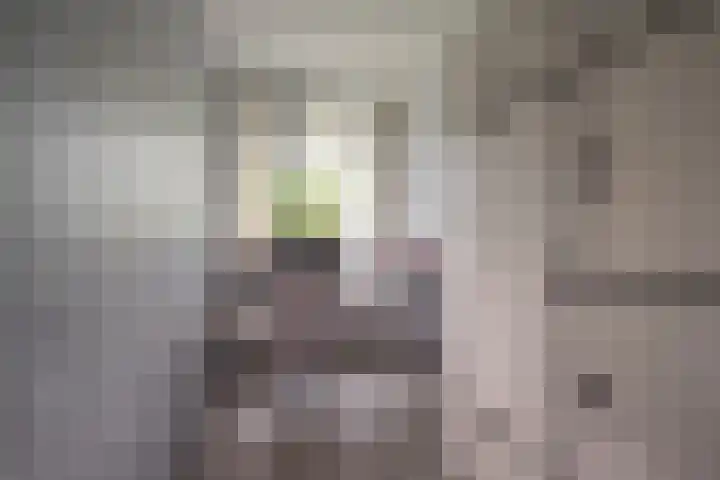 Vuurdoornlaan 36 02 Nijkerk thumbnail 23