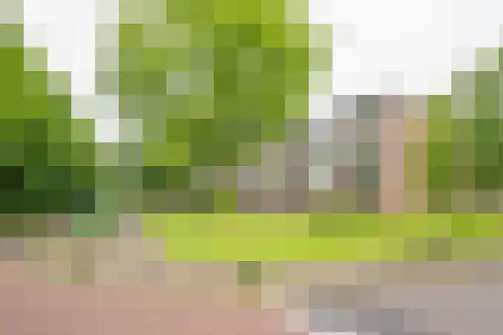 Vuurdoornlaan 36 02 Nijkerk thumbnail 33