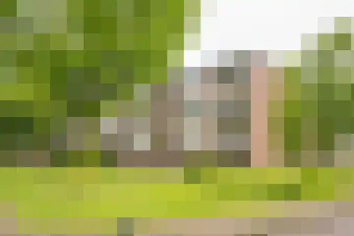 Vuurdoornlaan 36 02 Nijkerk thumbnail 34