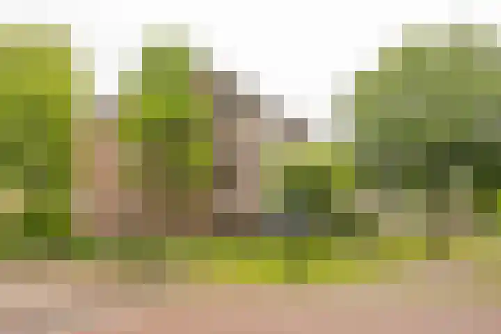 Vuurdoornlaan 36 02 Nijkerk thumbnail 35