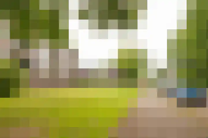 Vuurdoornlaan 36 02 Nijkerk thumbnail 36
