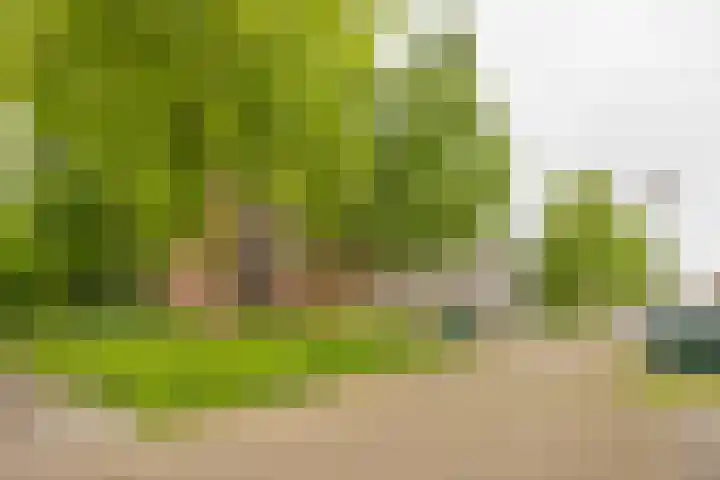 Vuurdoornlaan 36 02 Nijkerk thumbnail 37