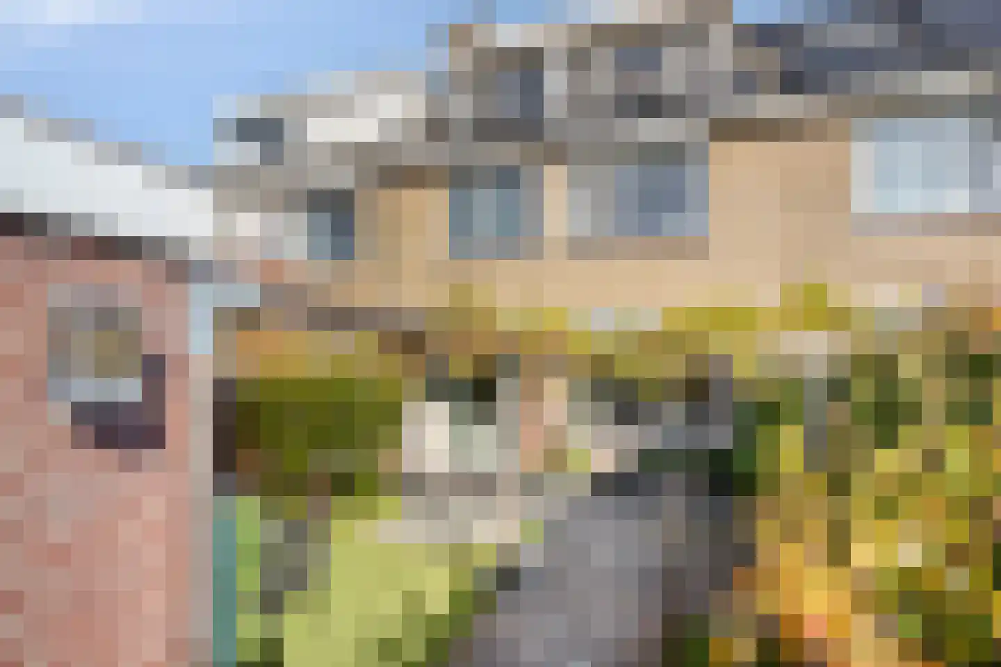 Vuurdoornlaan 38 Krimpen aan den IJssel foto 2