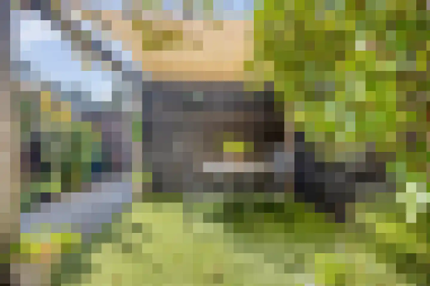 Vuurdoornlaan 38 Krimpen aan den IJssel thumbnail 38