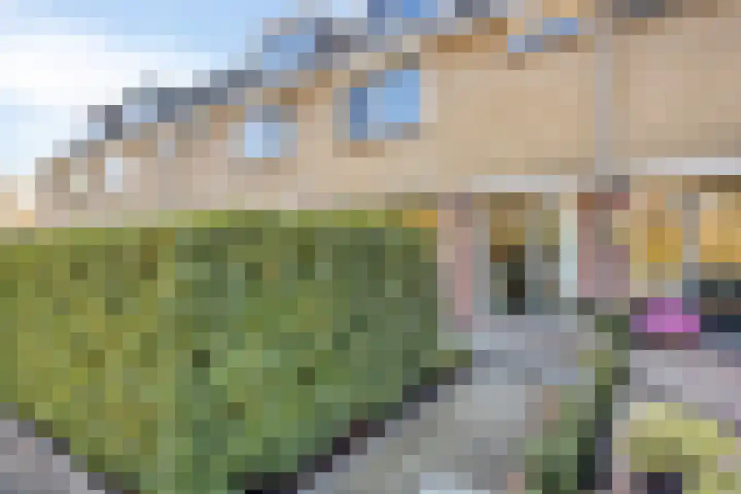 Vuurdoornlaan 38 Krimpen aan den IJssel thumbnail 9