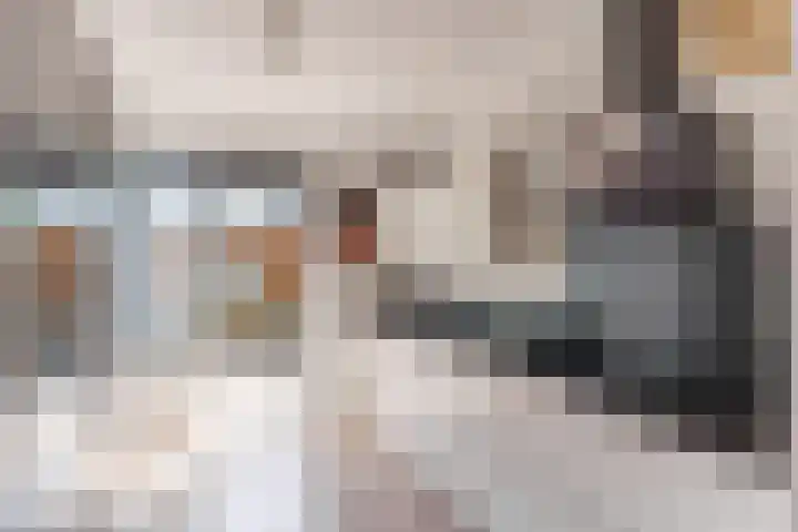Vuurdoornlaan 4 Pijnacker thumbnail 16