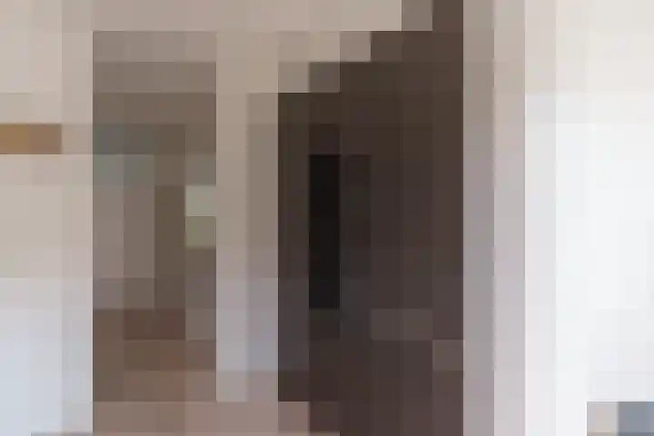 Vuurdoornlaan 4 Pijnacker thumbnail 18