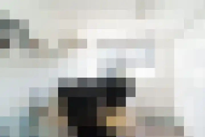 Vuurdoornlaan 4 Pijnacker thumbnail 27