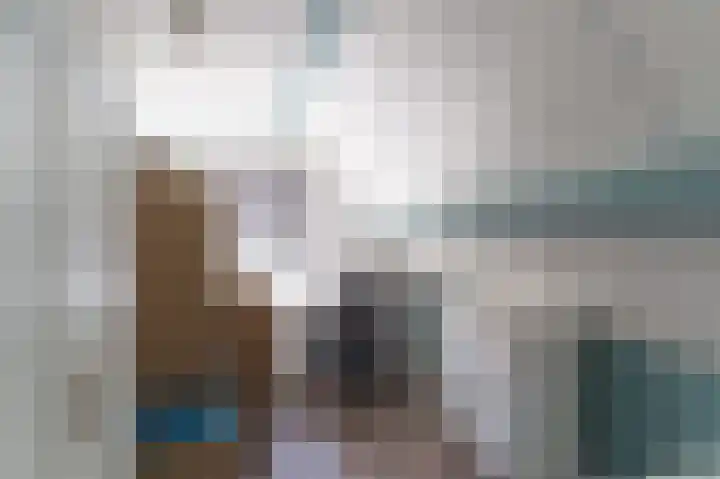 Vuurdoornlaan 4 Pijnacker thumbnail 33