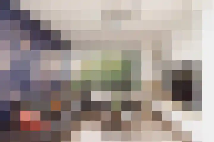 Vuurdoornlaan 4 Pijnacker thumbnail 4