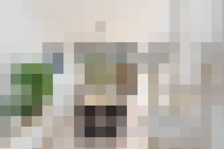 Vuurdoornlaan 4 Pijnacker thumbnail 6