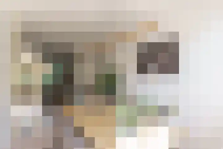 Vuurdoornlaan 4 Pijnacker thumbnail 7