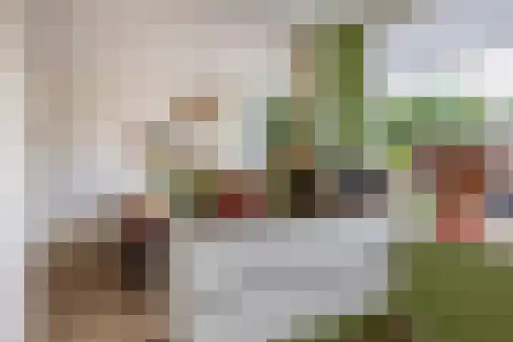 Vuurdoornlaan 42 Pijnacker thumbnail 10