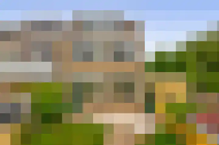 Vuurdoornlaan 42 Pijnacker thumbnail 37
