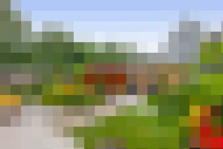 Vuurdoornlaan 42 Pijnacker thumbnail 38