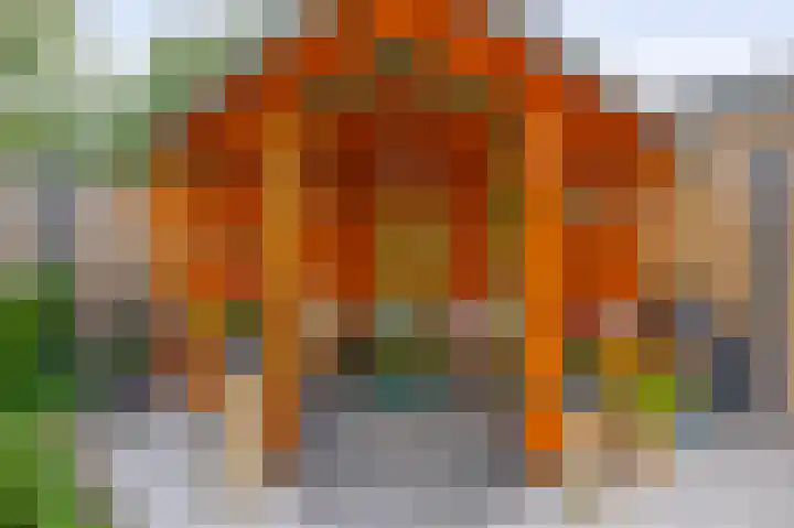 Vuurdoornlaan 42 Pijnacker thumbnail 4