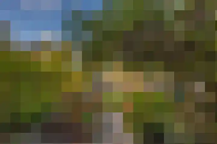 Vuurdoornlaan 5 Pijnacker thumbnail 14