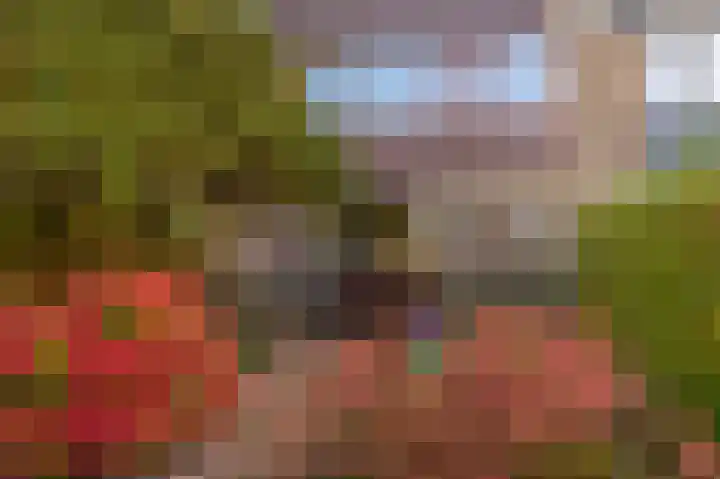 Vuurdoornlaan 5 Pijnacker thumbnail 15