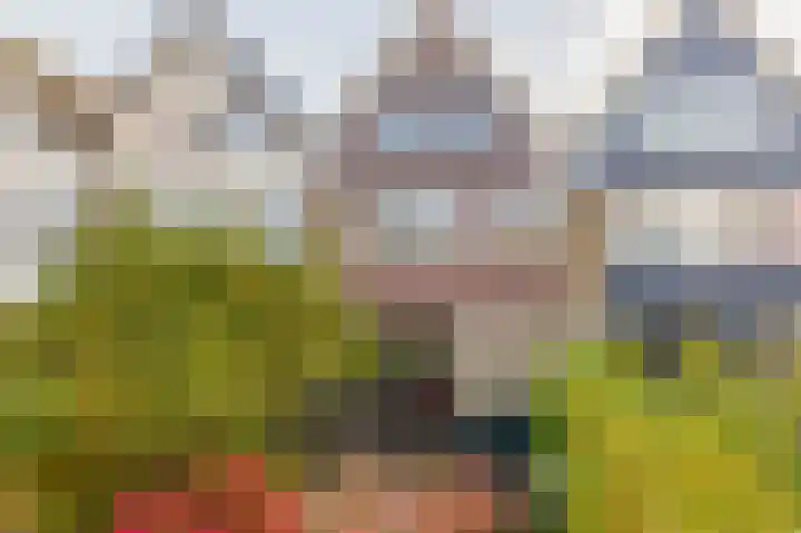 Vuurdoornlaan 5 Pijnacker thumbnail 17