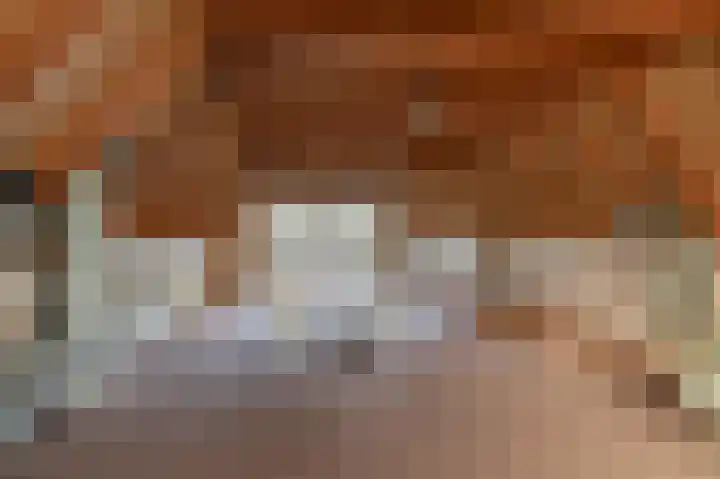 Vuurdoornlaan 5 Pijnacker thumbnail 27