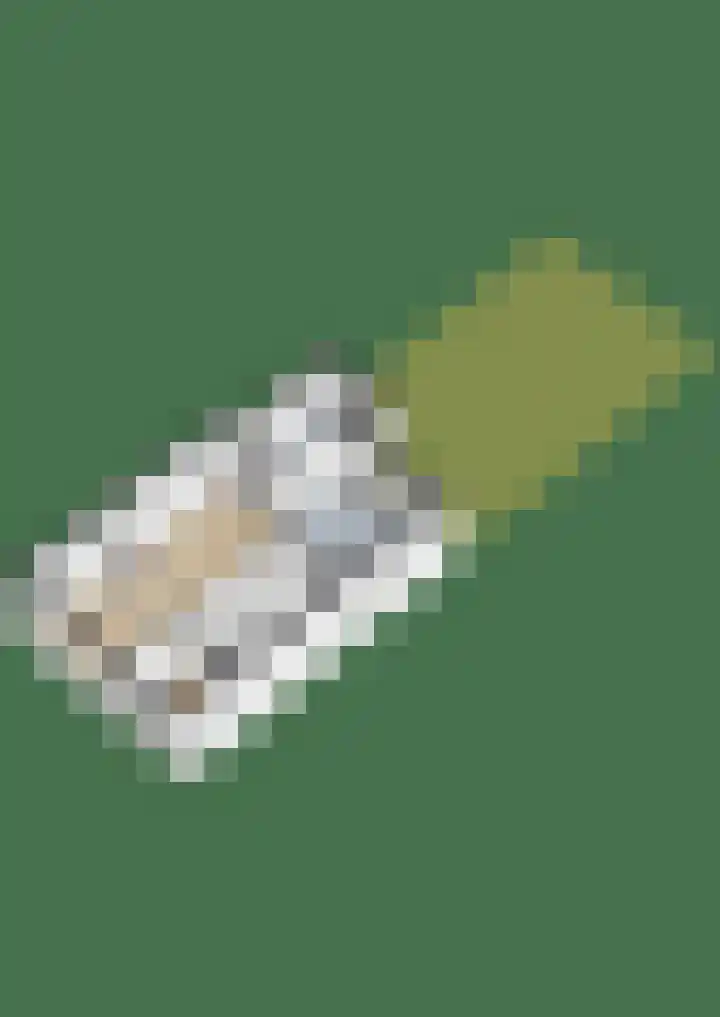 Vuurdoornlaan 5 Pijnacker thumbnail 36