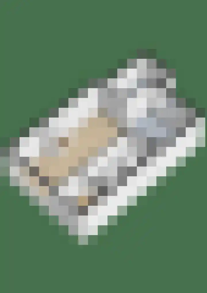 Vuurdoornlaan 5 Pijnacker thumbnail 37