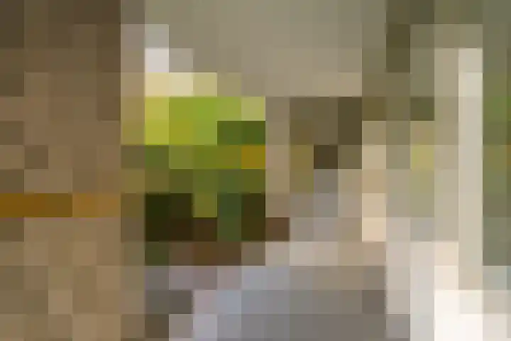 Vuurdoornpark 14 Zoetermeer thumbnail 10