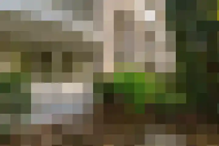 Vuurdoornpark 14 Zoetermeer thumbnail 11