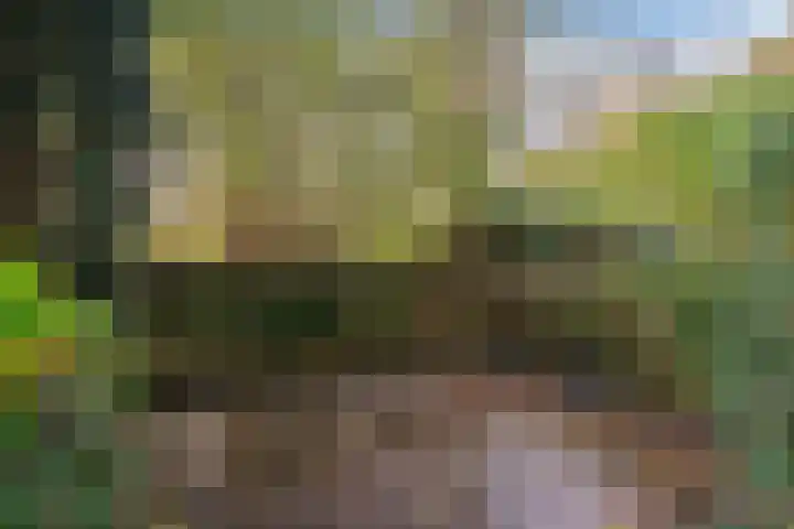 Vuurdoornpark 14 Zoetermeer thumbnail 12