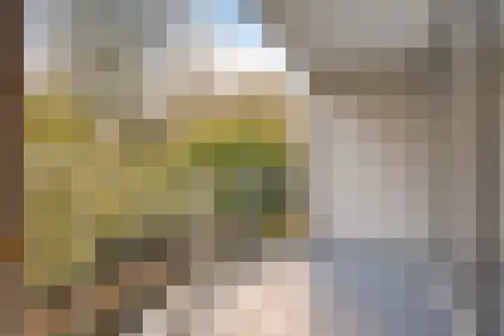Vuurdoornpark 14 Zoetermeer thumbnail 27