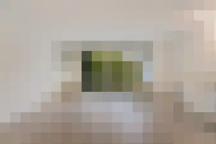 Vuurdoornpark 14 Zoetermeer thumbnail 28
