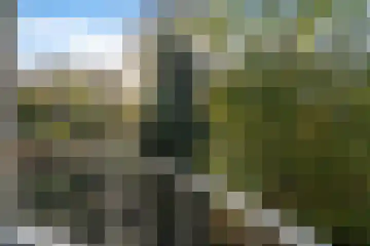 Vuurdoornpark 14 Zoetermeer thumbnail 29
