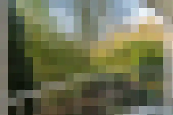 Vuurdoornpark 14 Zoetermeer thumbnail 30