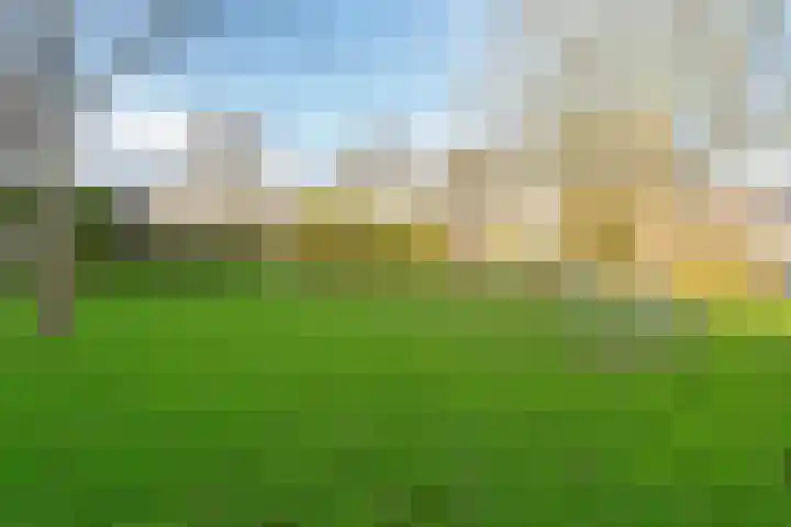 Vuurdoornpark 14 Zoetermeer thumbnail 45