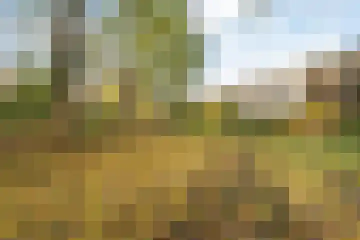 Vuurdoornpark 14 Zoetermeer thumbnail 46