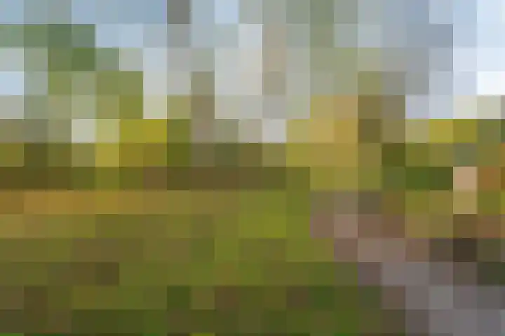 Vuurdoornpark 14 Zoetermeer thumbnail 47