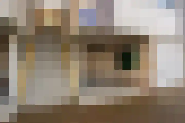 Vuurdoornpark 14 Zoetermeer thumbnail 6