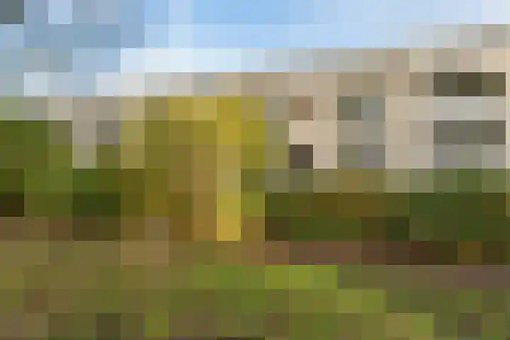 Vuurdoornpark 14 Zoetermeer thumbnail 7