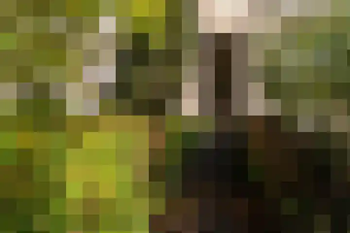 Vuurdoornpark 14 Zoetermeer thumbnail 9