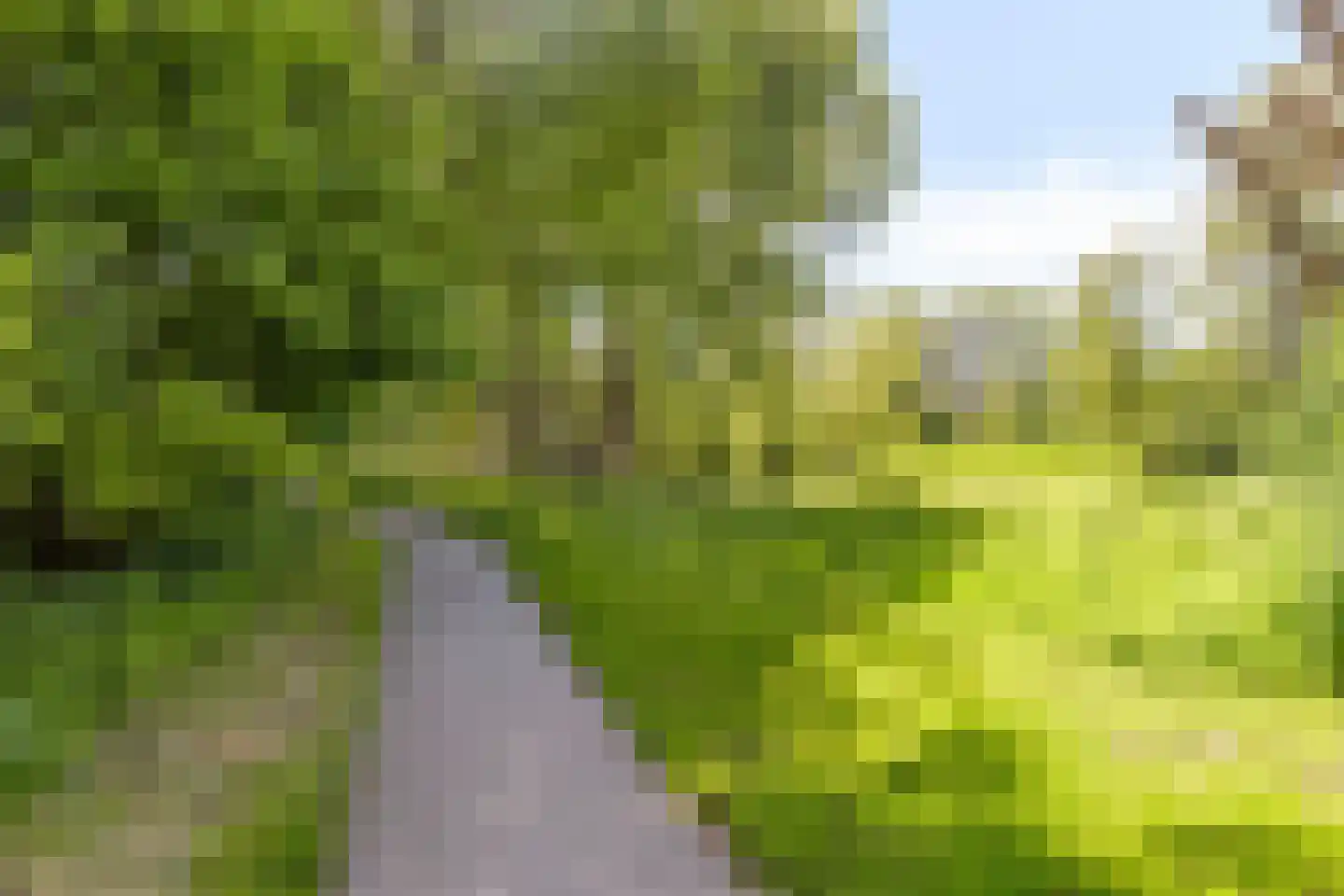 Vuurdoornpark 16 Zoetermeer thumbnail 38