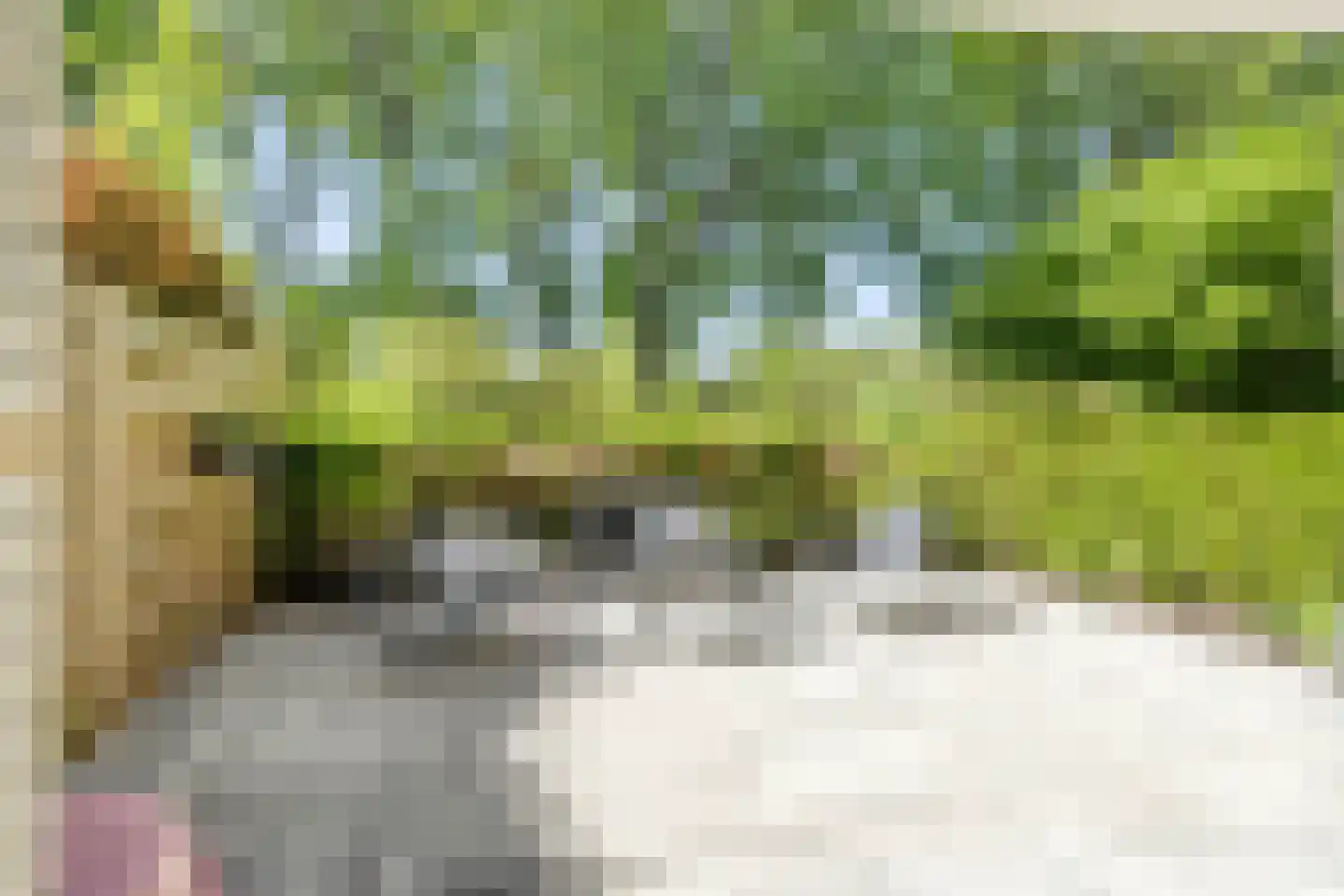Vuurdoornpark 16 Zoetermeer thumbnail 8