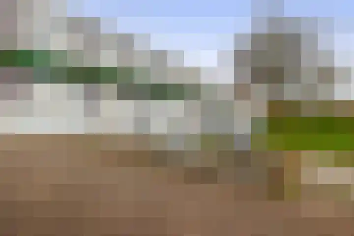 Vuurdoornpark 37 Zoetermeer thumbnail 36
